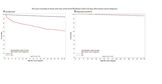 Survival curves showing all-cause mortality plot of breast cancer patients who developed atrial fibrillation within 30 days of breast cancer diagnosis compared to those who did not at 1-year follow-up (A, unadjusted—Kaplan–Meier; B, adjusted). The plot is adjusted for standard demographic features, breast cancer-related features, cardiovascular risk factors for atrial fibrillation, and breast cancer medication. Detailed model description is presented in Supplementary material online, Table S2.