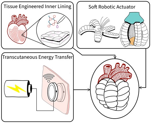 The future of TAHs: A TAH made of soft robotic actuators and biocompatible materials with tissue engineered inner lining, powered by a transcutaneous energy transfer system.