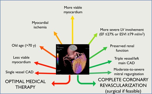 Factors contributing to the decision for coronary revascularization in patients with ischaemic cardiomyopathy. According to existing evidence, coronary artery bypass graft should be considered the revascularization strategy of choice in patients with ischaemic cardiomyopathy, improving prognosis although at prolonged follow-up. However, in patients with unfavourable clinical characteristics and unsuitable coronary anatomy, particularly in the presence of otherwise uncontrolled anginal chest pain, PCI may become a reasonable alternative for symptom control. CAD, coronary artery disease; EF, ejection fraction; ESVI, end-systolic volume index.