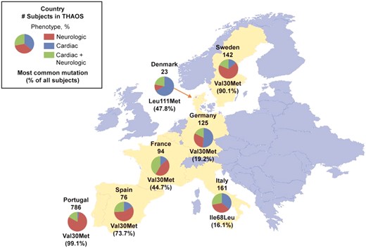 Subject phenotypes and most common genotype in subjects enrolled in THAOS in continental Western Europe. Data are from all European countries included in THAOS. Shown are: the total number of subjects from each country in THAOS, the proportions of each phenotype, and the most common mutation in each country (with its percentage of all subjects in that country). Not shown are: Belgium, three subjects with cardiac + neurologic phenotype (genotypes: Val30Met, Glu54Leu, and Glu74Leu); and Cyprus, one subject with neurologic phenotype (genotype: Val30Met). Note that the most common form of ATTR amyloidosis in Germany and Italy was ATTRwt (41.6% and 34.2% of all subjects, respectively).