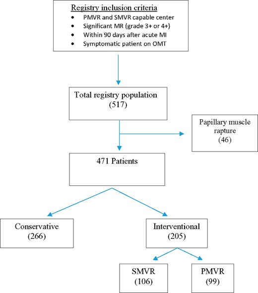 Study flow chart. MI, myocardial infarction; MR, mitral regurgitation; OMT, optimal medical therapy; PMVR, percutaneous mitral valve repair; SMVR, surgical mitral valve repair or replacement.