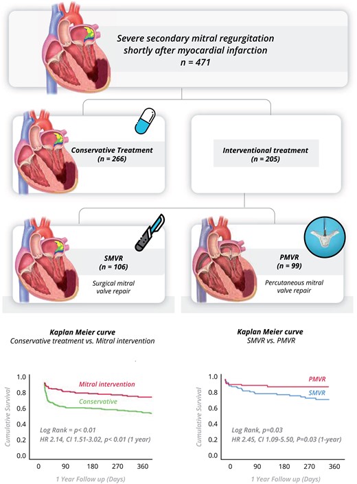 The registry included 471 patients with significant mitral regurgitation within 90-days after acute myocardial infarction who remained symptomatic on optimal medical therapy. Overall, patients who treated by mitral intervention had better survival over patients treated conservatively. Among patients treated with mitral intervention, Surgical mitral valve repair or replacement (SMVR) was associated with a higher mortality rate compared with percutaneous mitral valve repair (PMVR).
