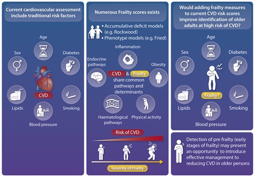 Frailty and assessment of cardiovascular risk.