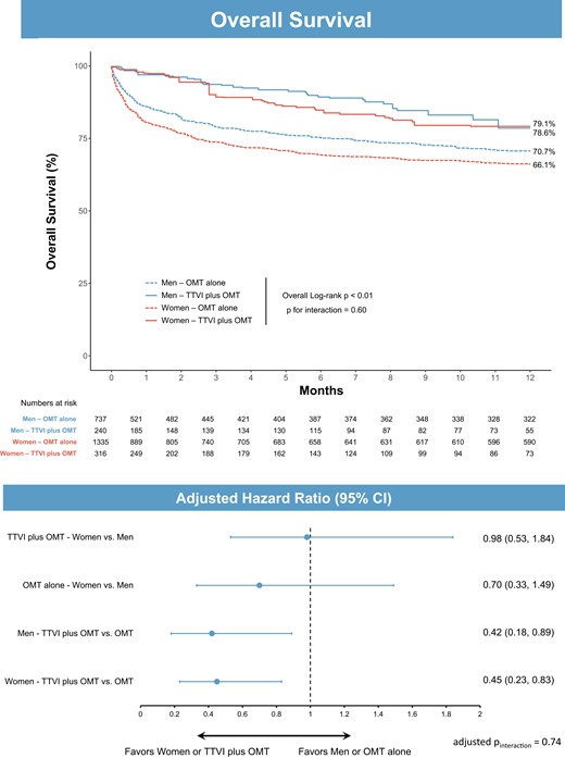 Overall survival at 1 year according to treatment group and sex after inverse probability of treatment weighting. Above: unadjusted Kaplan–Meier analysis at 1 year. Below: forest plot from multivariable Cox-regression analysis including age, body mass index, left ventricular ejection fraction, tricuspid annular plane systolic excursion, sex, and treatment. CI, confidence interval; OMT, optimal medical therapy; TTVI, transcatheter tricuspid valve intervention.