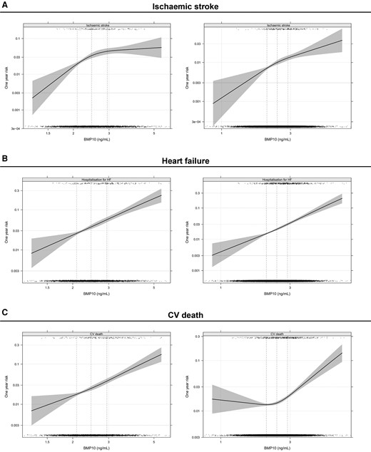 Unadjusted, smoothed association between BMP10 and one-year risk of ischaemic stroke, heart failure hospitalisation, and CV death in the non-OAC cohort (left) and the OAC cohort (right)
