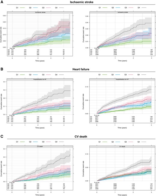 Kaplan–Meier estimate of the cumulative event rate of ischaemic stroke, hospitalisation for heart failure, and CV death by BMP10 quartile groups in the non-OAC cohort (left) and OAC cohort (right)