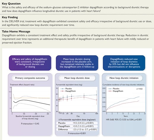 The clinical benefits of dapagliflozin vs. placebo exhibit consistent safety and efficacy across a wide range of background diuretic use. Treatment with dapagliflozin reduces loop diuretic requirement over time. CI, confidence interval; HR, hazard ratio.
