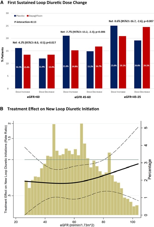 Effect of dapagliflozin on (A) first sustained loop diuretic dose change and (B) new loop diuretic initiation according to baseline kidney function.