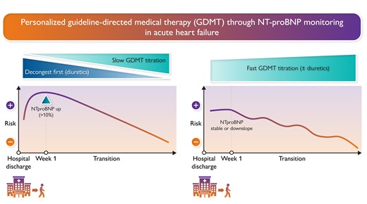Personalized GDMT through NT-proBNP monitoring. Patients whose NT-proBNP levels are elevated during the first week following discharge (>10%) may benefit from more intensive decongestion before advancing guideline-directed medical therapy (GDMT) up-titration (left). In contrast, patients with stable or decreasing NT-proBNP levels may benefit from early and aggressive up-titration of GDMT (right).