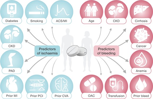 Determinants of ischaemic and bleeding risk in patients on dual antiplatelet therapy. Abbreviations: ACS, acute coronary syndrome; CKD, chronic kidney disease; CVA, cerebrovascular accidents; MI, myocardial infarction; OAC, oral anticoagulation; PAD, peripheral artery disease; PCI, percutaneous coronary intervention.