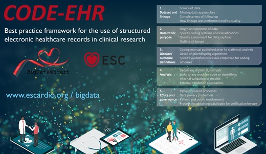 CODE-EHR global framework: lifting the veil on health record data ...