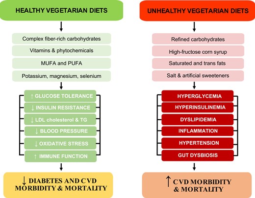 Metabolic effects of healthy and unhealthy vegetarian diets. MUFA, monounsaturated fatty acids; PUFA, polyunsaturated fatty acids; LDL-C, low-density lipoprotein cholesterol; TG, triglycerides.