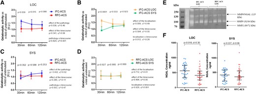Higher gelatinolytic activity independent of the time course in local IFC–ACS (n = 8) vs. RFC–ACS TLR2 pre-treated neutrophils (n = 8) (A) and in local vs. systemic IFC–ACS neutrophils (B). TLR2 activation has no significant effect on the gelatinolytic activity in systemic IFC–ACS vs. RFC–ACS neutrophils (C) and in local vs. systemic RFC–ACS neutrophils (D); gelatinolytic activity measured in RU and expressed as n-fold of the unstimulated control group; representative graphic of gelatinolytic activity of supernatants of TLR2 pre-stimulated neutrophils assessed by gel zymography showing the pre-dominant MMP9 (E); local plasma samples from IFC–ACS patients show higher NGAL concentration than RFC–ACS patients as estimated by a Wilcoxon matched-pairs signed rank test, n = 32 per group (F); for all of the other comparisons, a repeated measures ANOVA with Bonferroni‘s multiple comparisons test has been used; data are shown as median ± interquartile range (IQR); effect size η² after repeated measures ANOVA (small effect η² < 0.01, medium effect η² between 0.01 and 0.14, large effect η² > 0.14), effect size d (absolute values of d: small effect d < 0.2, medium effect d between 0.2 and 0.8, large effect d > 0.8). RFC–ACS, acute coronary syndrome with ruptured fibrous cap; IFC–ACS, acute coronary syndrome with intact fibrous cap; RU, relative units; LOC, local; SYS, systemic; NGAL, neutrophil gelatinase-associated lipocalin; d = Cohen’s.