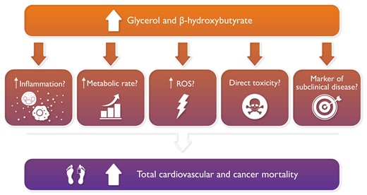 Could glycerol and β-hydroxybutyrate circulating levels be prognostic factors for mortality?