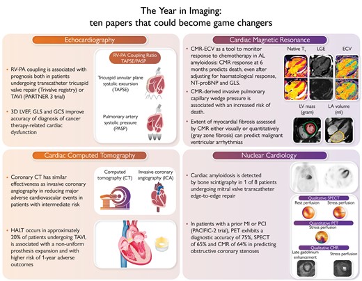 The year in imaging: 10 papers that could become game changers. RV, right ventricle; PA, pulmonary artery; TAVI, transcatheter aortic valve implantation; LVEF, left ventricular ejection fraction; GLS, global longitudinal strain; GCS, global circumferential strain; CT, computed tomography; HALT, hypoattenuating leaflet thickening; CMR, cardiac magnetic resonance; ECV, extracellular volume of distribution; NT-proBNP, Nterminal pro B-type natriuretic peptide; LV, left ventricular; LA, left atrial; MI, myocardial infarction; PCI, percutaneous coronary intervention; SPECT, single photon emission computed tomography.