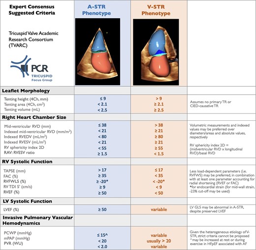 Suggested anatomic and functional parameters to discriminate atrial secondary tricuspid regurgitation from ventricular secondary tricuspid regurgitation from the PCR Tricuspid Focus Group and Tricuspid Valve Academic Research Consortium (TVARC).49 If data are discordant or incomplete (e.g. RVFWLS missing), an integrative approach based on multiple parameters is recommended. 2D, two-dimensional; 4Ch, apical four-chamber; A-STR, atrial secondary tricuspid regurgitation; CIED, cardiac implantable electronic device; EDV, end-diastolic volume; ES, end-systolic; ESV, end-systolic volume; FAC, fractional area change; LV, left ventricular; LVEF, left ventricular ejection fraction; GLS, global longitudinal strain; mPAP, mean pulmonary arterial pressure; PCWP, pulmonary capillary wedge pressure; PVR, pulmonary vascular resistance; RAV, right atrial volume; RVFWLS, right ventricular free wall longitudinal strain; RVD, right ventricular diameter; RVEF, right ventricular ejection fraction; TAPSE, tricuspid annular plane systolic excursion; TDI S, tissue Doppler systolic velocity; TR, tricuspid regurgitation; V-STR, ventricular secondary tricuspid regurgitation; WU, Woods units