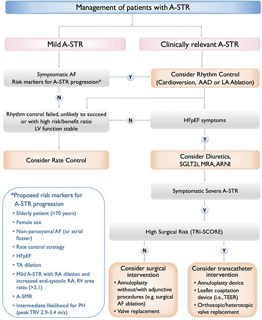 Proposed algorithm for managing patients with atrial secondary tricuspid regurgitation. AAD, antiarrhythmic drugs; ARNI, angiotensin receptor–neprilysin inhibitor; A-SMR, atrial secondary mitral regurgitation; A-STR, atrial secondary tricuspid regurgitation; HFpEF, heart failure with preserved ejection fraction; LA, left atrial; LV, left ventricle; MRA, mineralocorticoid receptor antagonist; PH, pulmonary hypertension; RA, right atrium; RV, right ventricle; SGLT2i, sodium–glucose co-transporter-2 inhibitor; TEER, transcatheter edge-to-edge repair; TRV, tricuspid regurgitation velocity