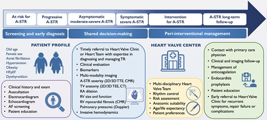 Clinical pathway and management of patients with atrial secondary tricuspid regurgitation. 2D, two-dimensional; 3D, three-dimensional; AF, atrial fibrillation; A-STR, atrial secondary tricuspid regurgitation; CMR, cardiac magnetic resonance; CT, computed tomography; HFpEF, heart failure with preserved ejection fraction; RA, right atrium; RV, right ventricle; TEE, transoesophageal echocardiography; TV, tricuspid valve; TTE, transthoracic echocardiography
