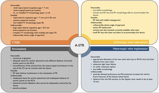Anatomical criteria for device selection for TTVI in patients with atrial secondary tricuspid regurgitation. A-STR, atrial secondary tricuspid regurgitation; CS, coronary sinus; RA, right atrium; RCA, right coronary artery; RV, right ventricle/ventricular; T-TEER, tricuspid transcatheter edge-to-edge repair; TTVI, transcatheter tricuspid valve intervention; TV, tricuspid valve