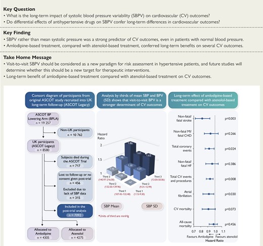 Blood pressure variability and blood pressure control in the 20-year follow-up of the ASCOT Legacy Study. BPV, blood pressure variability; SBP, systolic blood pressure; CHD, coronary heart disease; CV, cardiovascular; HF, heart failure; MI, myocardial infarction; SD, standard deviation.