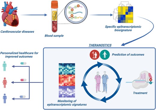 Leveraging epitranscriptomic biosignatures to monitor CVD and design novel therapeutic strategies. A ‘Theranostics’ concept. The figure was created in BioRender