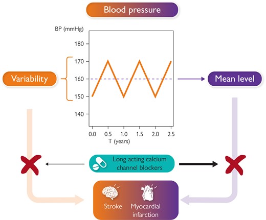Figure illustrates the contribution of both blood pressure mean level and blood pressure variability to increased risk of cardiovascular events, such as stroke and myocardial infarction. The figure also illustrates the possibility suggested by available studies to antagonize the impact on cardiovascular risk of either increased mean blood pressure level and enhanced blood pressure variability through administration of long acting calcium channel blockers.