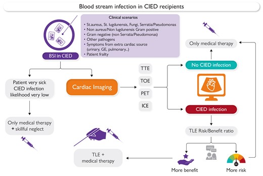 Current management of blood stream infections. BSI, blood stream infection; GE, gastro-enteric; CIED, cardiac implantable electronic device; TTE, trans-thoracic echocardiography; TOE, trans-oesophageal echocardiography; PET, positron emission tomography; ICE, intracardiac echocardiograpy; TLE, transvenous lead extraction