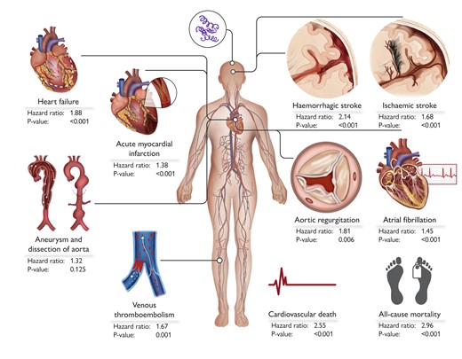 This visual summary delineates the cardiovascular risks and mortality associated with syphilis infection, presenting hazard ratios for key outcomes. These include new-onset acute myocardial infarction, heart failure, aortic regurgitation, aneurysm and/or dissection of the aorta, atrial fibrillation, ischaemic stroke, haemorrhagic stroke, venous thrombo-embolism (deep vein thrombosis or pulmonary embolism), cardiovascular death, and all-cause mortality.11
