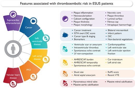 Features associated with thromboembolic risk in ESUS patients1