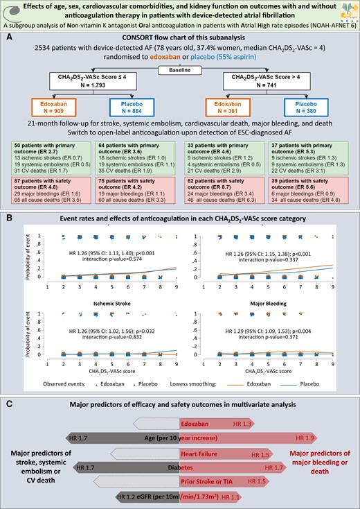 (A) CONSORT flow chart of pre-specified secondary analysis of the NOAH-AFNET 6 trial. Displayed are the analysis population, the number of patients experiencing a primary or safety outcome and the event rate for each outcome in each group. (B) Stroke, systemic embolism or cardiovascular death (primary outcome), major bleeding or death (safety outcome), ischaemic stroke and major bleeding event rate estimates per CHA2DS2-VASc score and treatment group (edoxaban orange on the left, placebo blue on the right). The LOWESS (locally weighted scatterplot smoothing) curves show the dependence of the probability of an event on the CHA2DS2-VASc score. Each dot represents a patient. Patients with events are shown at the top and patients without events are shown at the bottom. (C) Forest plots of the major predictors of efficacy (left) and safety (right) outcomes in the entire study population (n = 2534). Grey shaded arrows indicate efficacy predictors with P-values > .05. Orange curves show LOWESS-estimated event rates with edoxaban, blue curves show LOWESS-estimated event rates without anticoagulation. AF, atrial fibrillation; CI, confidence interval; CV, cardiovascular; eGFR, estimated glomerular filtration rate; ER, event rate per 100 patient-years follow-up; ESC, European Society of Cardiology; HR, hazard ratio; TIA, transient ischaemic attack14