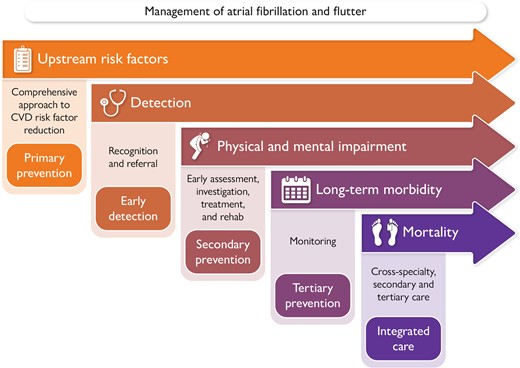 Atrial fibrillation: a lifetime approach across the prevention spectrum