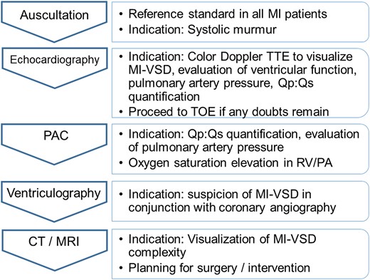 Diagnostic approach. CT, computed tomography; MI, myocardial infarction; MI-VSD, myocardial infarction ventricular septal defect; MRI, magnetic resonance imaging; PA, pulmonary artery; PAC, pulmonary artery catheterization; RV, right ventricle; Qp, pulmonary blood flow; Qs, systemic blood flow