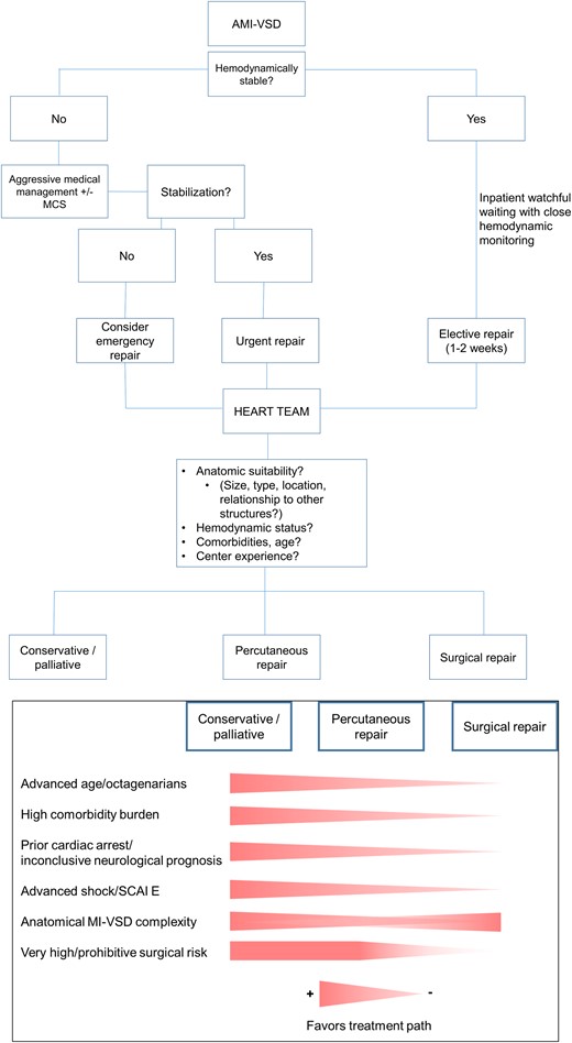 Hemodynamically stable patients with rather small MI-VSDs might qualify for watchful waiting with close hemodynamic monitoring until an elective repair after at least 1–2 weeks of medical therapy. Patients with hemodynamic instability and/or large MI-VSDs with a consecutively high left-to-right shunt require aggressive pharmacologic therapy and possibly MCS treatment. If responsive to treatment, closure may be performed delayed, urgently within the first few days or as an emergency procedure in cases of refractory CS.