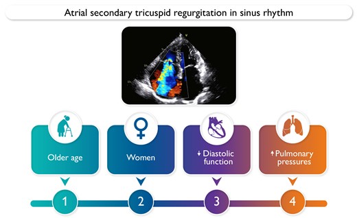 Atrial secondary tricuspid regurgitation in patients in sinus rhythm is linked with older age, female sex, as well as to left ventricular diastolic function abnormalities, and higher pulmonary systolic pressures.