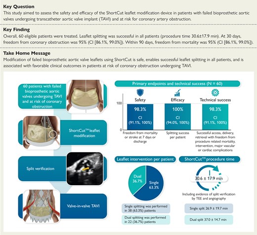 This pivotal prospective, multicentre study presents favourable clinical outcomes of ShortCut, the first dedicated leaflet modification device, prior to transcatheter aortic valve implantation (TAVI) in patients scheduled to undergo TAVI and at risk for coronary artery obstruction.