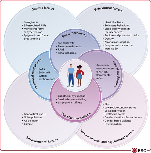 Pathophysiology of elevated blood pressure and hypertension.