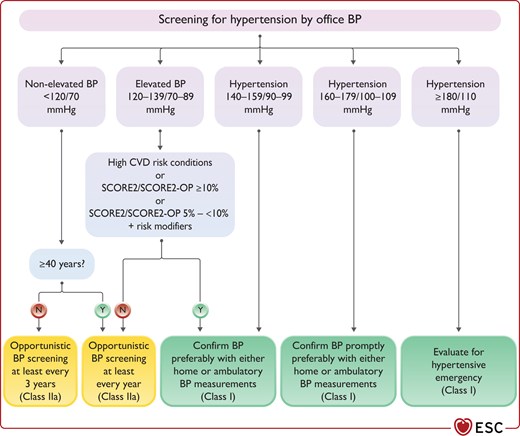 Protocol for confirming hypertension diagnosis.