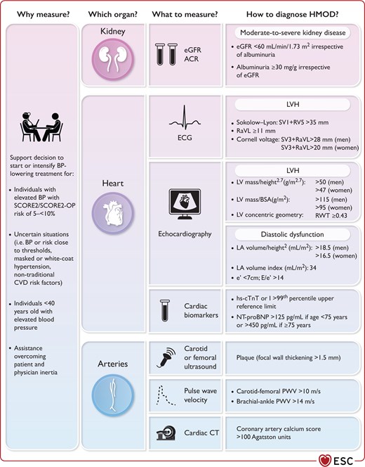 Tests and criteria for defining hypertension-mediated organ damage and considerations for their use in clinical practice.