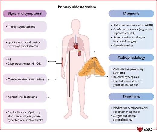 Summary of primary aldosteronism as a common form of secondary hypertension.