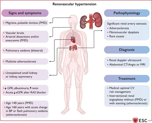 Summary of renovascular disease as a common form of secondary hypertension.