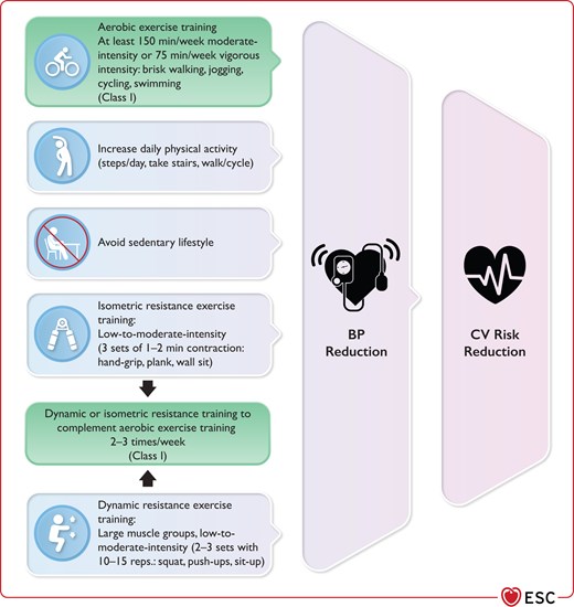 Physical activity according to different types of exercise and reduction of blood pressure and overall cardiovascular disease risk.