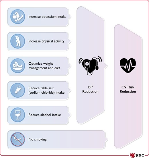 Effects of main lifestyle factors on blood pressure and cardiovascular risk reduction.