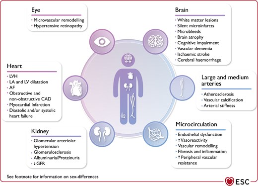 Persistently elevated blood pressure and hypertension lead to hypertension-mediated organ damage and cardiovascular disease.