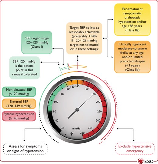 Systolic blood pressure categories and treatment target range.