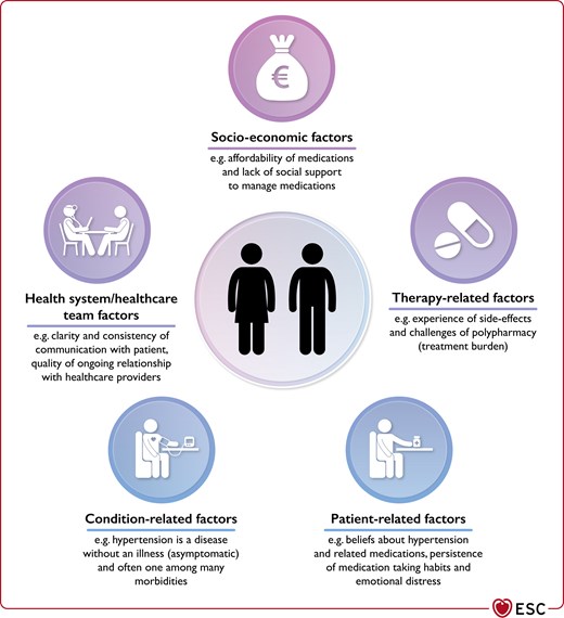 The five dimensions of adherence (WHO, 2003) applied to hypertension.