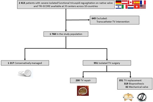 Participant flow in the study. TRIGISTRY includes 2413 patients with severe isolated functional tricuspid regurgitation on native valve collected across 33 centres and 10 countries. We excluded 645 who underwent a transcatheter tricuspid valve intervention. Our study population comprised 1768 patients: 1217 were conservatively managed and 551 underwent an isolated tricuspid valve surgery (surgical tricuspid valve repair in 200 and a replacement in 351)