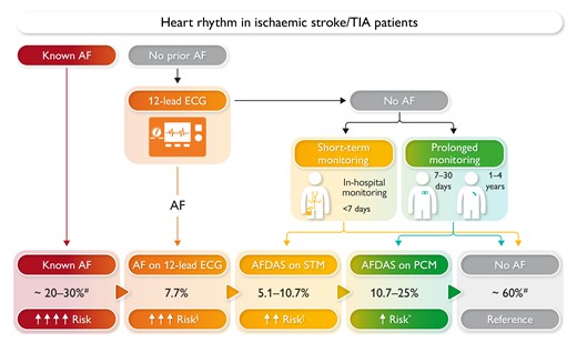 Proportions represent the incidence of atrial fibrillation diagnostic yields with a sequential increase in the intensity of cardiac rhythm monitoring based on Sposato et al..6 Risk: recurrent ischaemic stroke risk. §Five-fold higher than prolonged cardiac monitoring–detected atrial fibrillation. †More data are needed to characterize the stroke risk of atrial fibrillation found on 24–48 h Holter. *Five-fold lower than 12-lead electrocardiogram-diagnosed atrial fibrillation. AF, atrial fibrillation; AFDAS, atrial fibrillation detected after stroke; ECG, electrocardiogram; PCM, prolonged cardiac monitoring; STM, short-term monitoring.