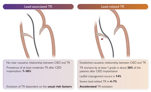 Definition of TR in the presence of a CIED lead. CIED, cardiac implantable electronic device; TR, tricuspid regurgitation.