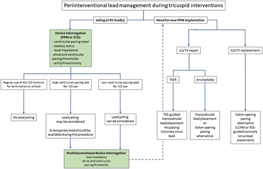 Peri-interventional lead management during tricuspid interventions. ICD, implantable cardioverter defibrillator; LCPM, leadless cardiac pacemaker; PPM, permanent pacemaker; RV, right ventricle; s/p, status post; TEE, transoesophageal echocardiography; TEER, transcatheter edge-to-edge repair; TV, tricuspid valve.