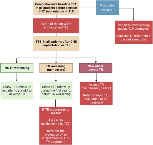 Imaging algorithm for patients undergoing cardiac implantable electronic device implantation or transvenous lead extraction. CIED, cardiac implantable electronic device; TEE: transoesophageal echocardiography; TLE, transvenous lead extraction; TR: tricuspid regurgitation; TTE, transthoracic echocardiography; TV, tricuspid valve.